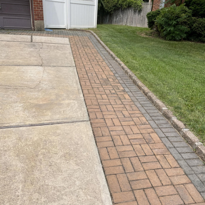 Weeds one hour after treatment