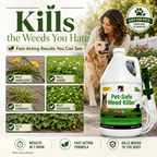 Pet-Safe Weed Killer Spray (Quart)