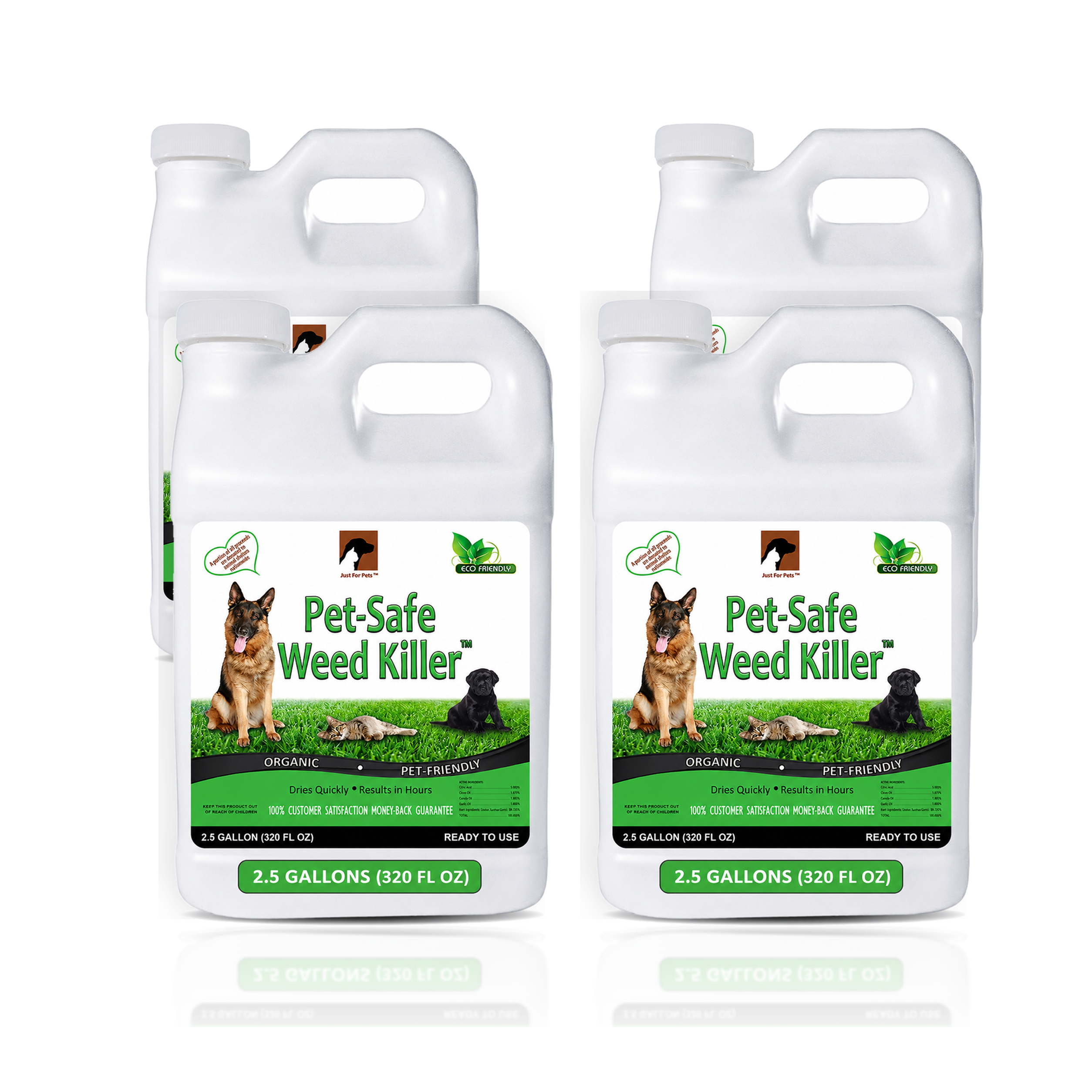 Pet-Safe Weed Killer Spray (4-2.5 Gallon Case)