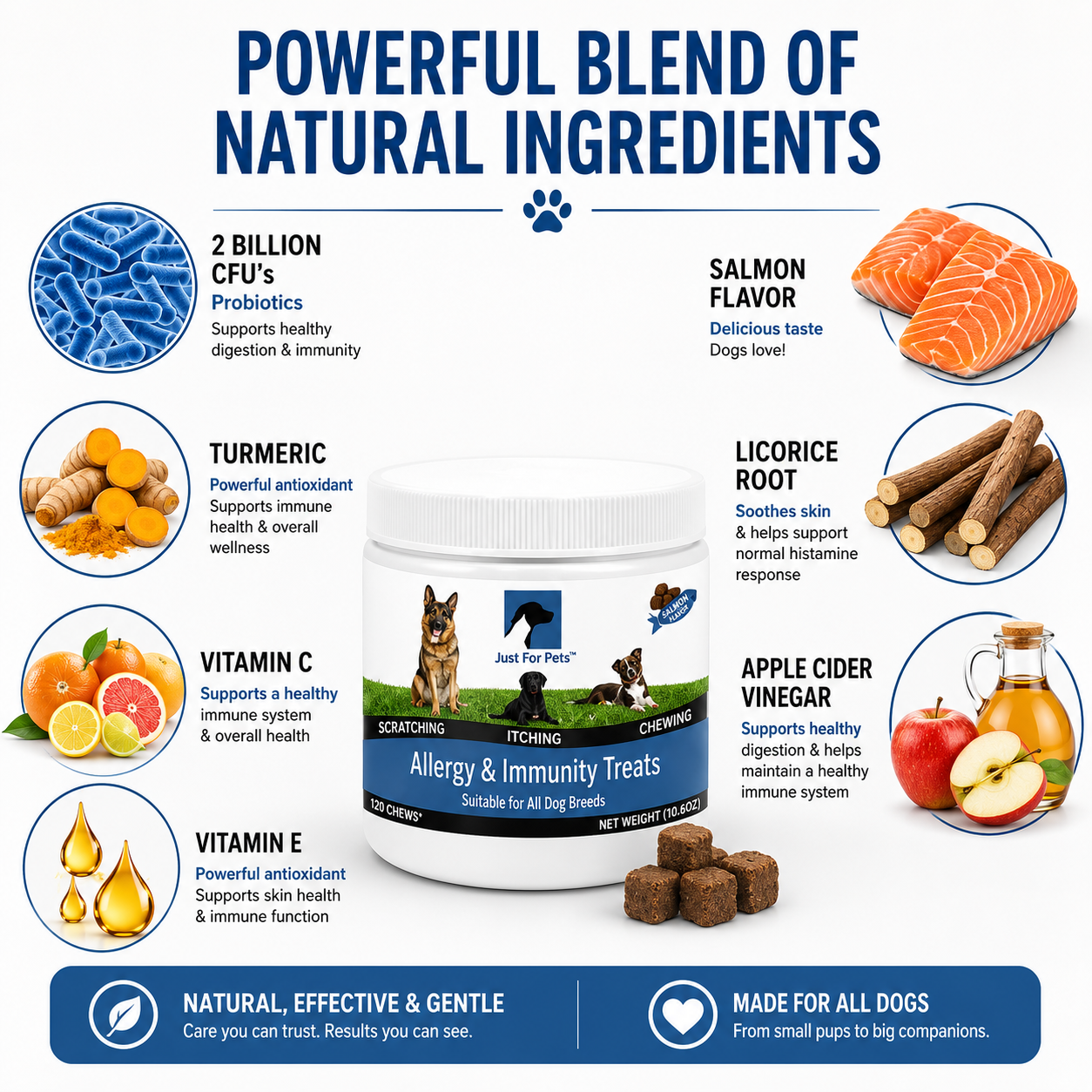 Allergy & Immunity Treats