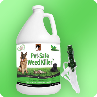 Pest Control Spray