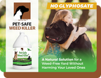 Pet-Safe Yard Protocol Bundle | Annual Plan [test]
